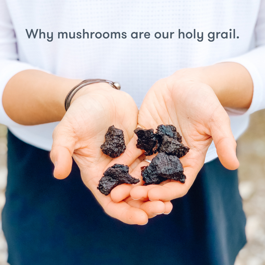 Why mushrooms are our holy grail.